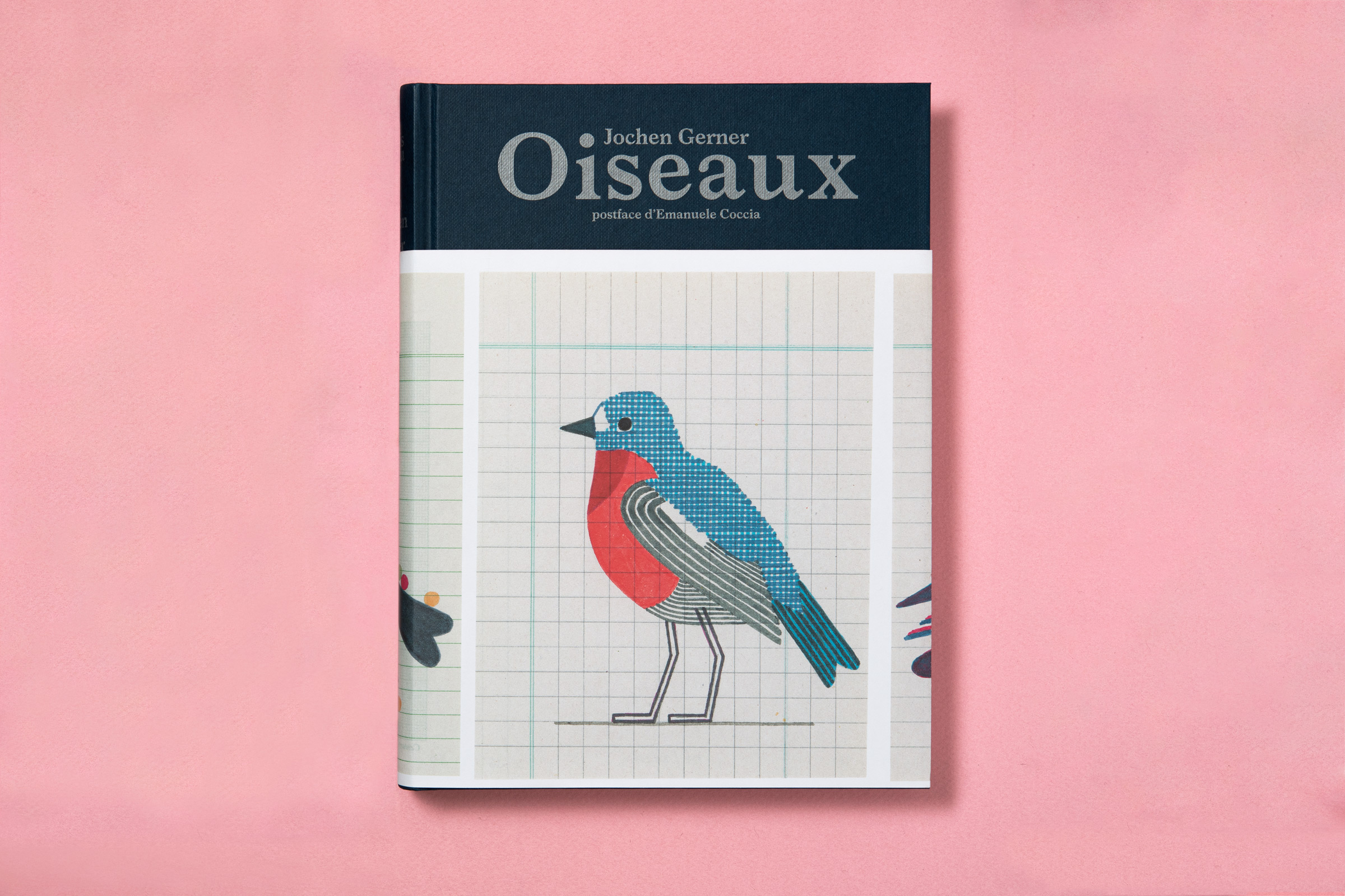 OISEAUX – Éditions B42