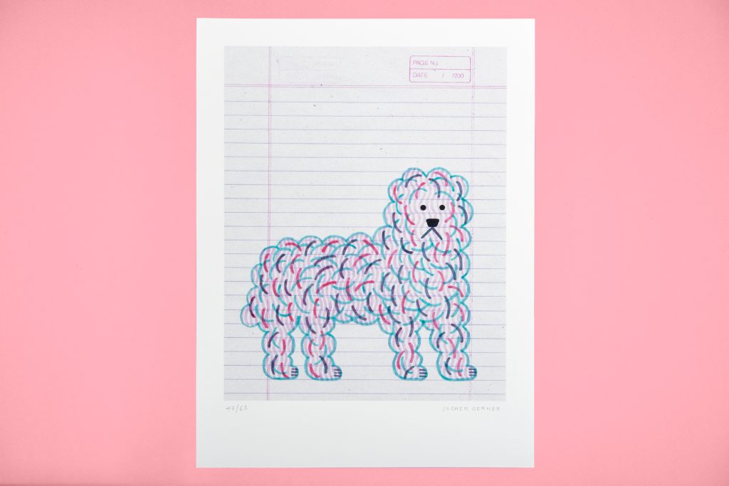 LABRADOODLE